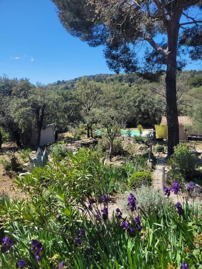 Villa Bastide Cigaline Le Beausset Exterior foto